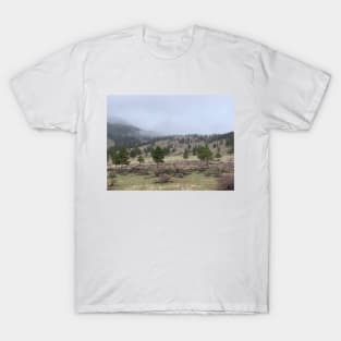 Misty Mountains T-Shirt